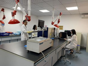 奶牛生產性能測定項目全面展開，助力乳品質量監測體系優化