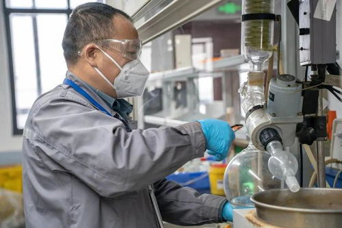 扎根幕后，奉獻(xiàn)最好技術(shù)服務(wù)——家校企社在地光芒行之工會(huì)站紀(jì)實(shí)