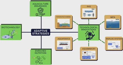 氣候變化如何重塑水產(chǎn)養(yǎng)殖業(yè) 不可忽視的技術(shù)挑戰(zhàn)與應(yīng)對(duì)策略